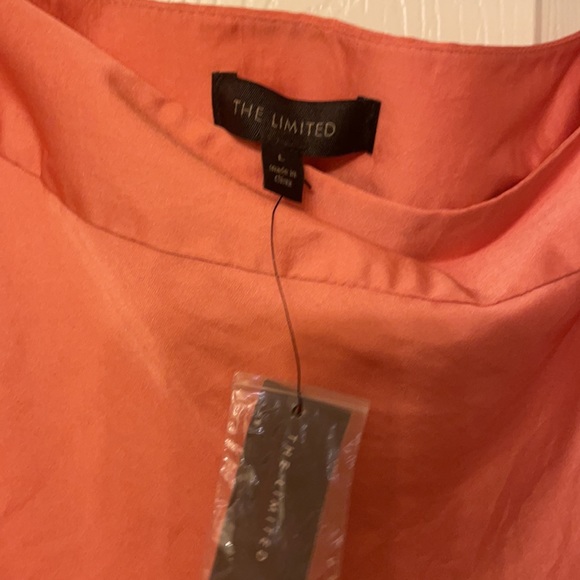 The Limited size large skirt - Picture 4 of 6